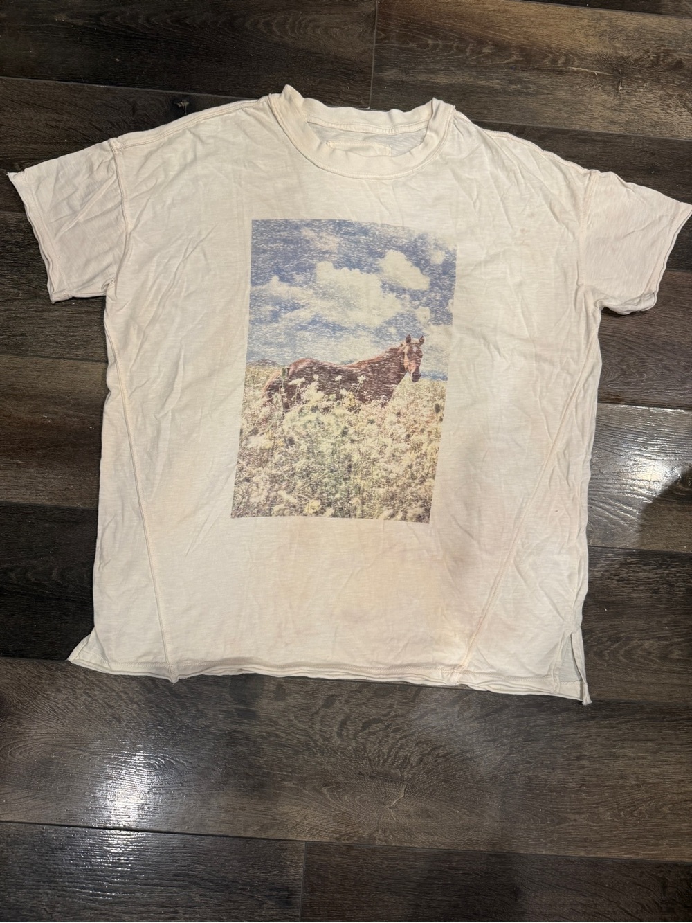 Aerie Cream Horse Graphic Tee